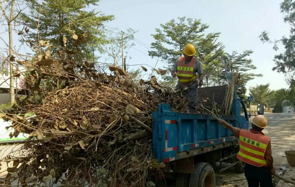 政策加持下，“綠化垃圾處理”能否成為環(huán)衛(wèi)行業(yè)下一個“風口” ？